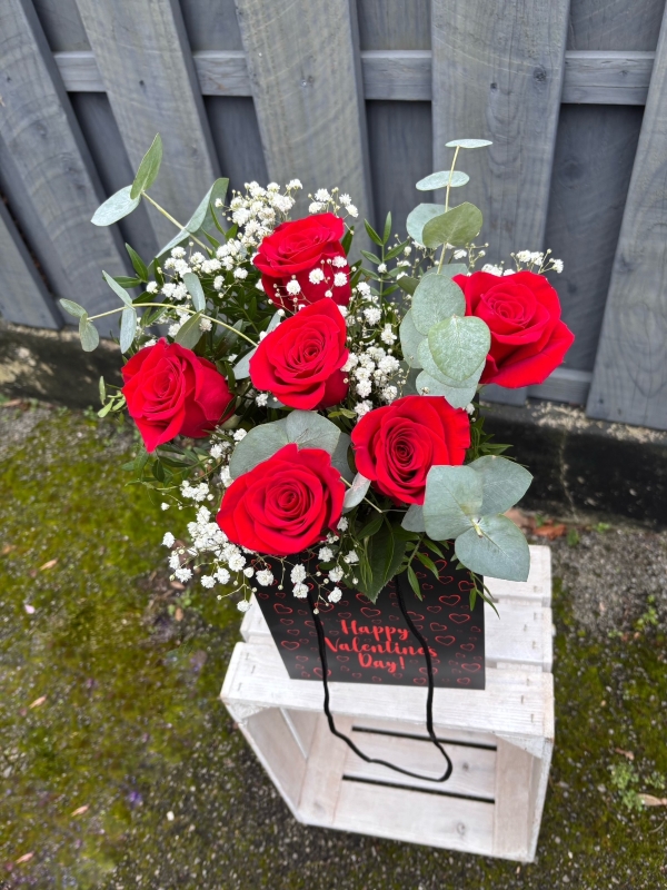 Six roses in a vase