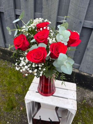 Six roses in a vase