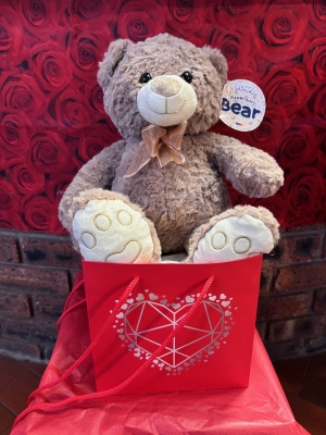 Super soft Bear