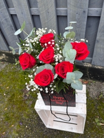 Six roses in a vase
