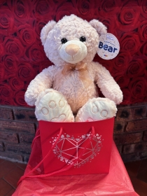 Super soft Bear