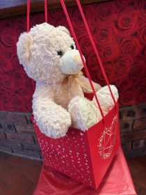 Super soft Bear